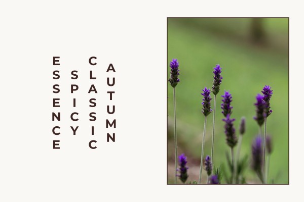 autumn classic spicy essence