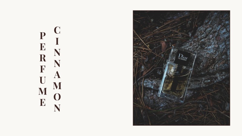 cinnamon perfume