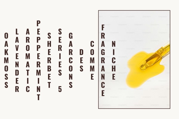 Niche Fragrance Comme des Garcons Series 5 Sherbet Peppermint aromatic lavender oakmoss chypre fragrance